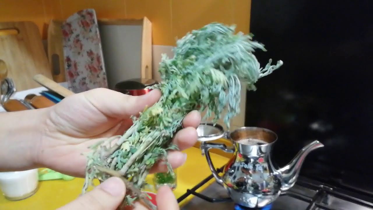 Maghrebi Atay Chiba | Wormwood Moroccan Tea