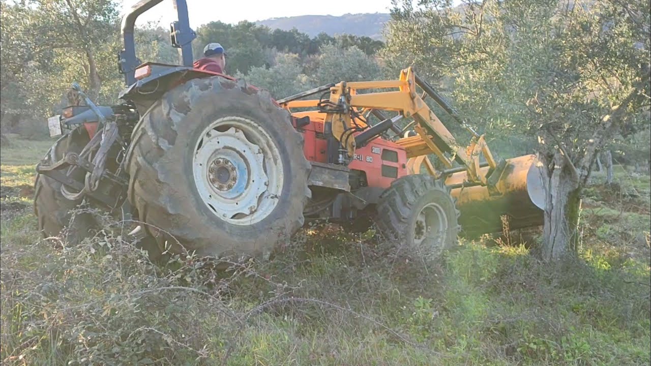 Quitando zarzales hoy toca