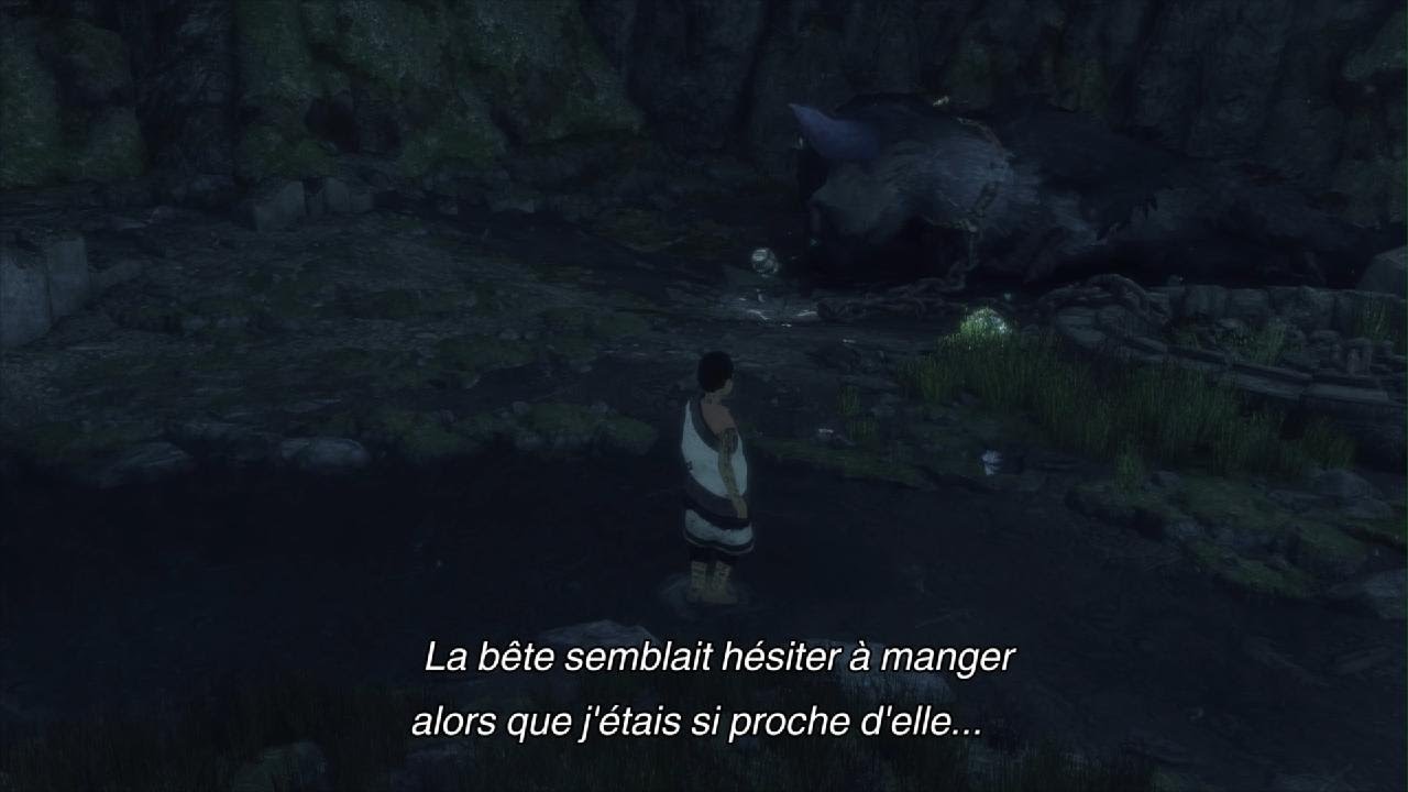 The Last Guardian