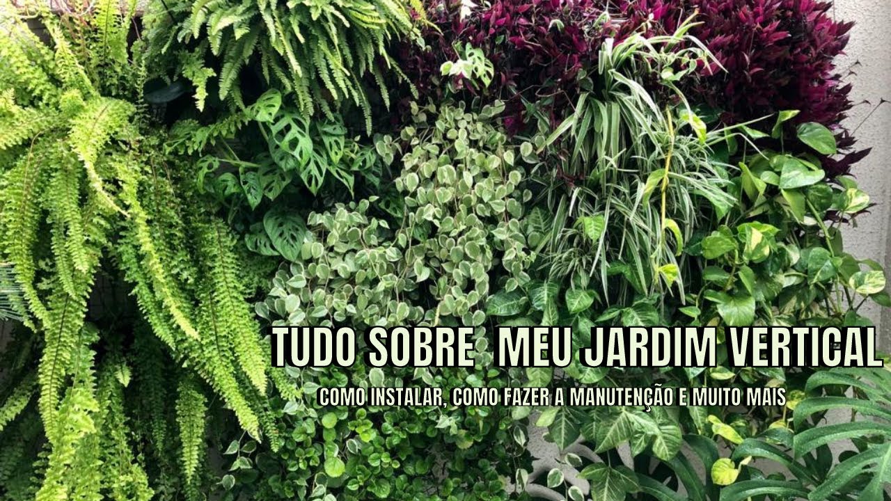 COMO FAZER UM JARDIM VERTICAL | quais plantas colocar, como fazer a manutenção e muito mais