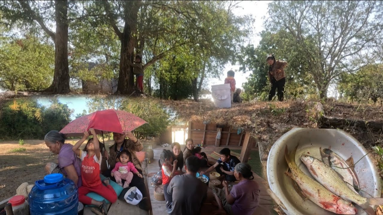 วันนี้พากันออกนาขึ่นชั้น มะขาม/ອອກນາຂຶ່ນຊັ້ນມະຂາມ