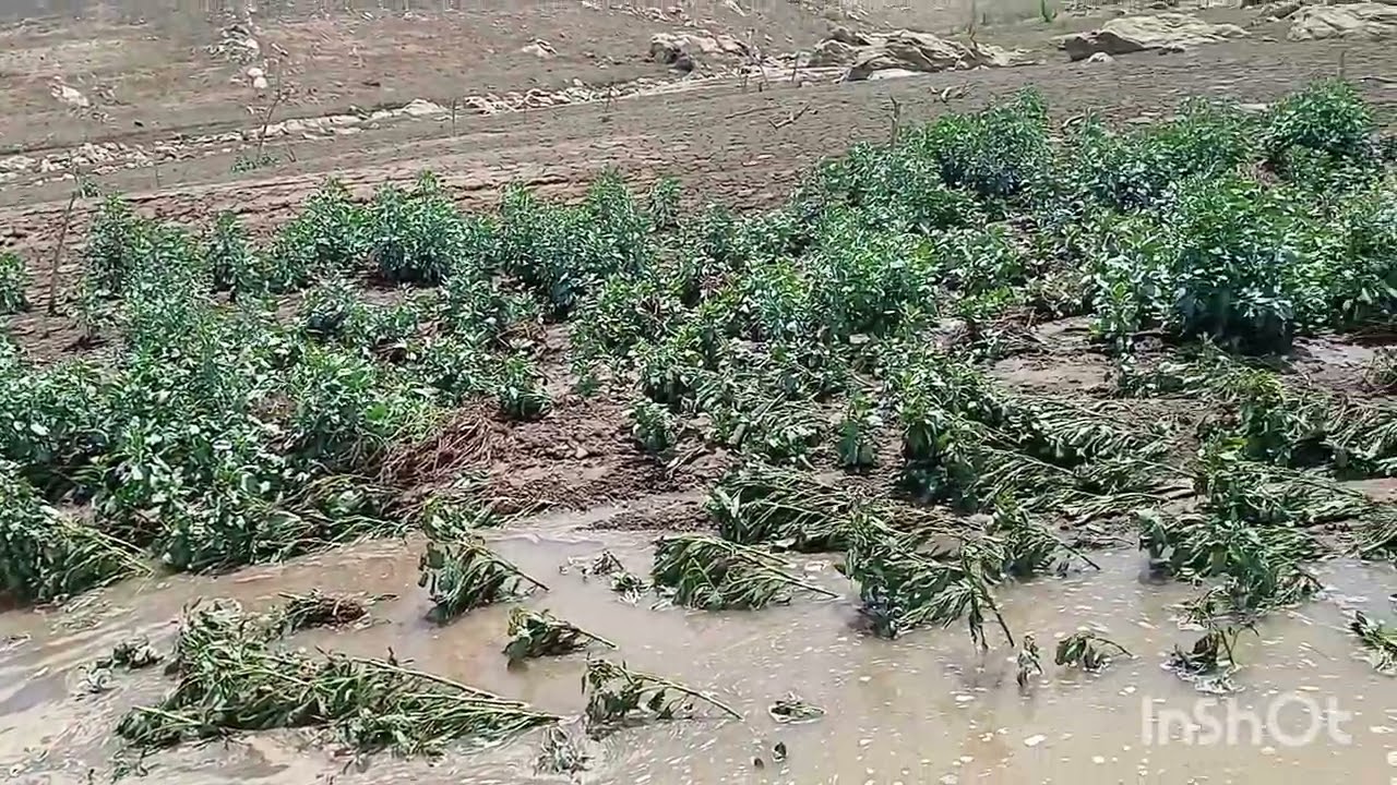 Atualização do nível de água que já chegou na barragem de jucazinho hoje .04/03/2026