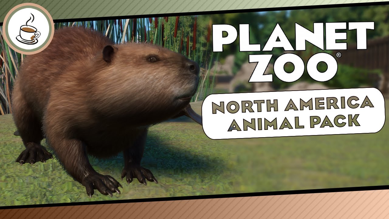 Das Bibergehege &laquo;&raquo; North America Animal Pack - Planet Zoo Speedbuild 🦅 Deutsch | German