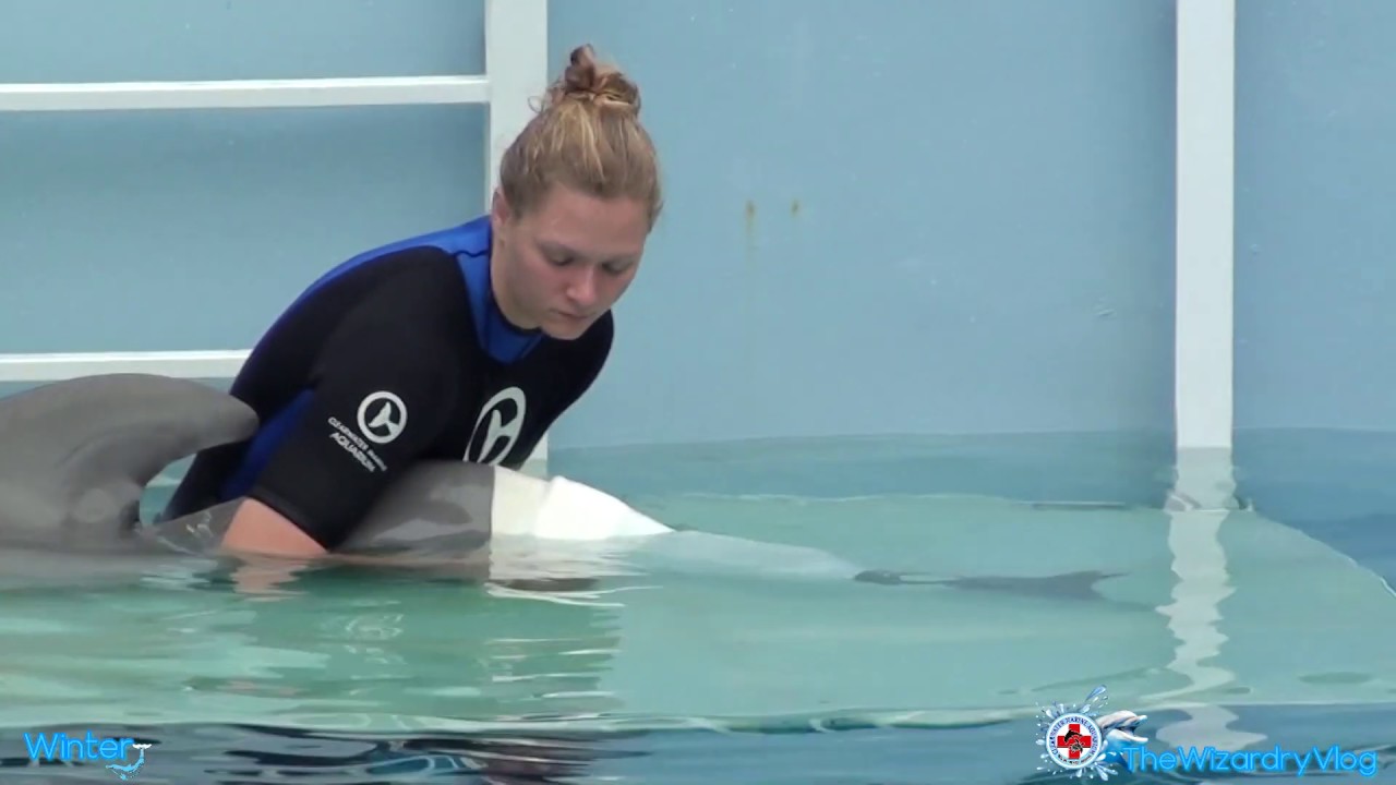 Trowback (2014): Clearwater Marine Aquarium + a meeting Winter the Dolphin.