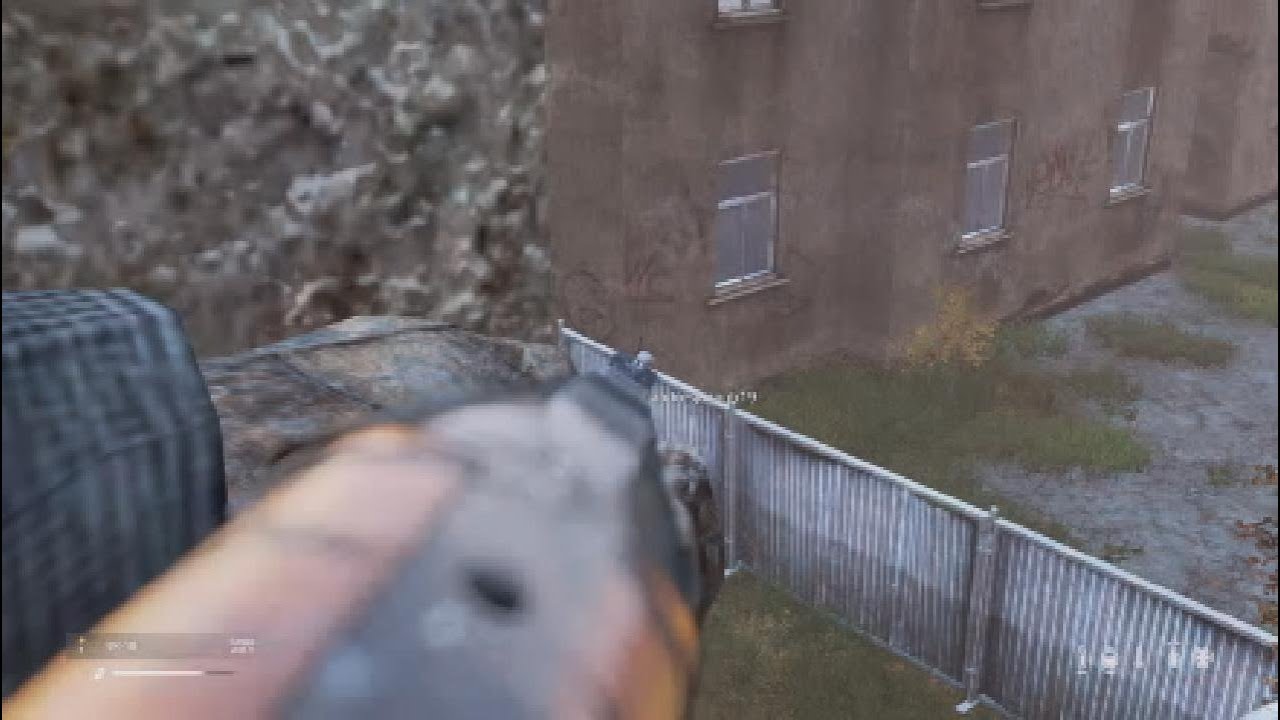 Assassin's dream