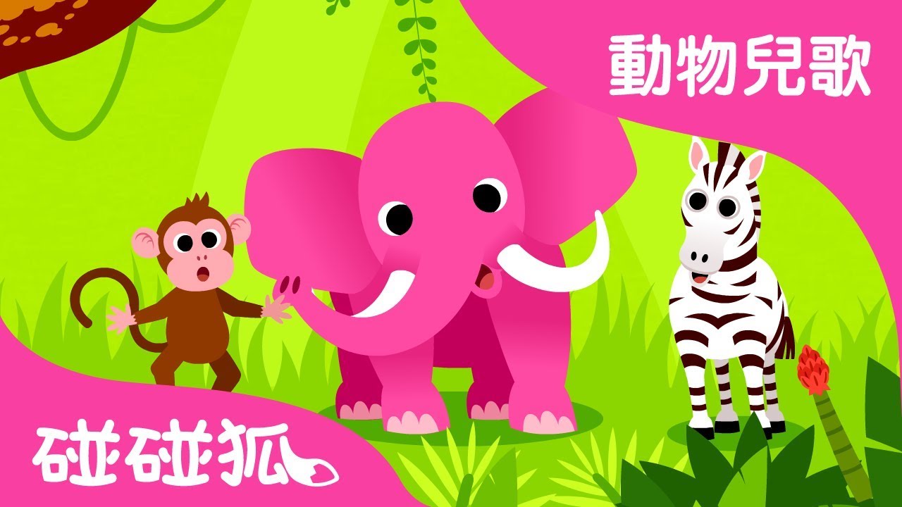 動物 動物 動物 |  動物兒歌 | 碰碰狐pinkfong！兒童兒歌