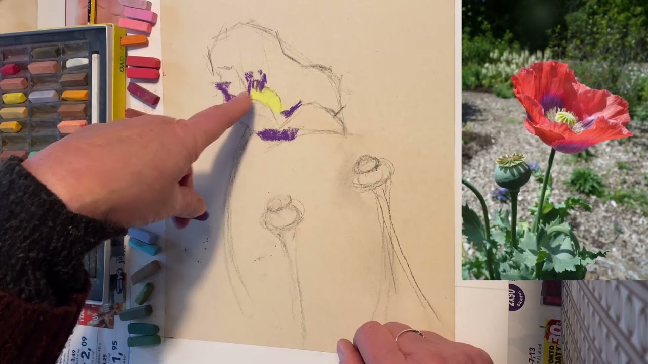 How to Paint from a Photograph ~ Poppy Flower Painting with Kelly Borsheim