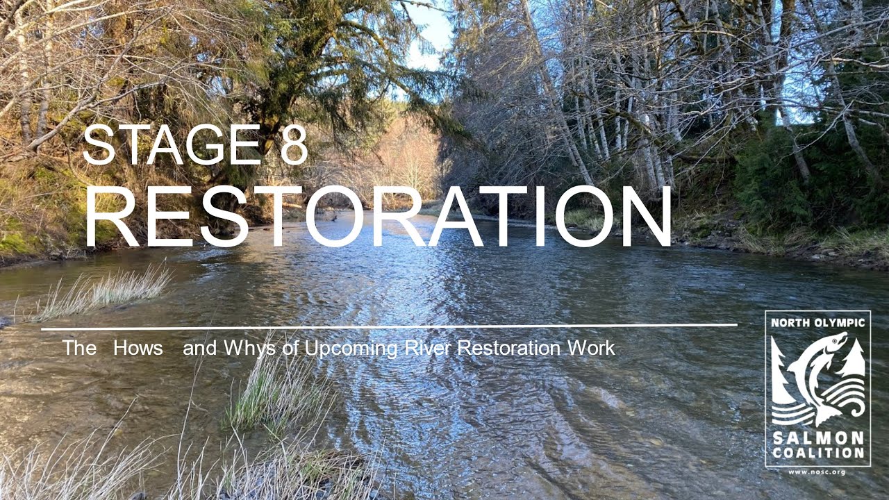 The Future of Oceans Lecture Series - Kevin Long, Stage 8 Restoration