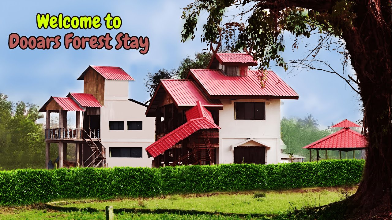 Welcome to Dooars Forest Stay I Find Best Riverside Stay of Dooars I Enjoy The Core Forest of Dooars