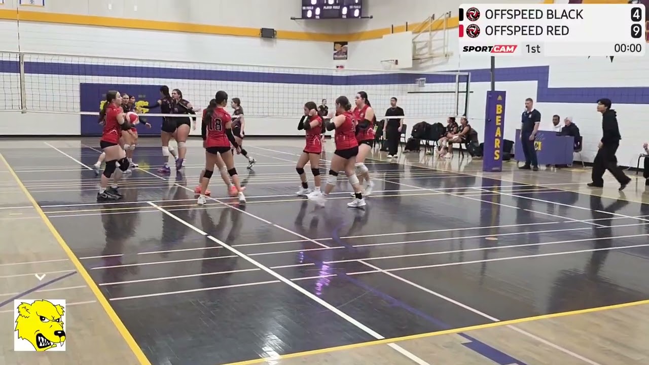 Set 1 HIGHLIGHTS
