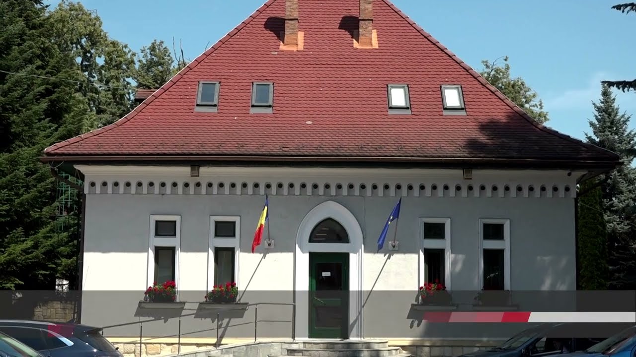 Romsilva, în fața unui nou început. Direcțiile Silvice se reduc