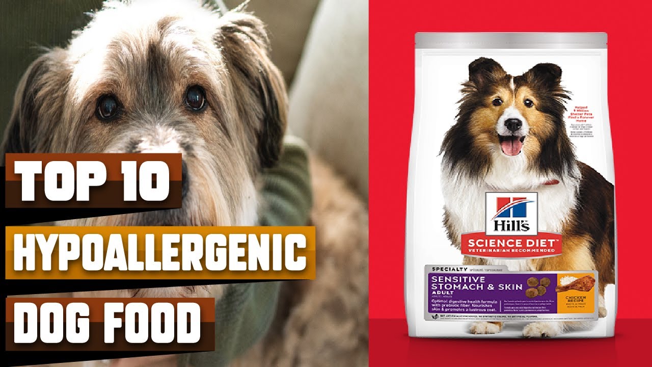 Best Hypoallergenic Dog Foods in 2024 (Top 10 Picks)