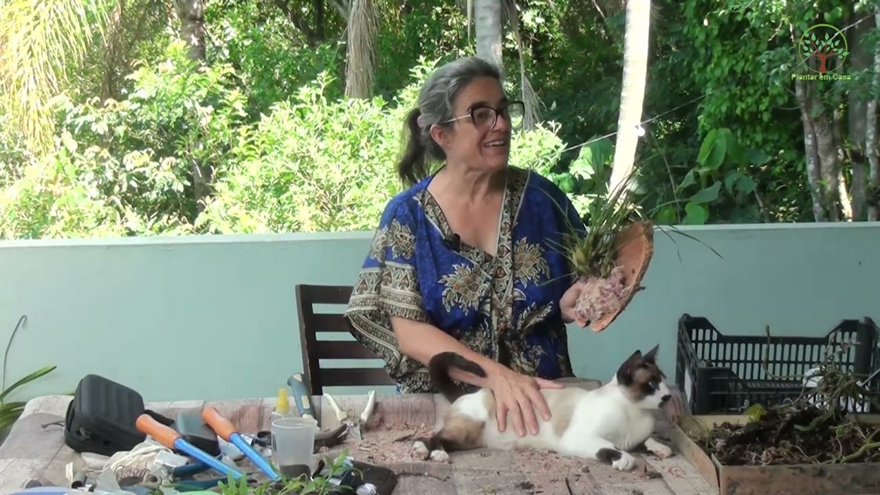 Oficina de Orquídeas com Orquidario Sabia