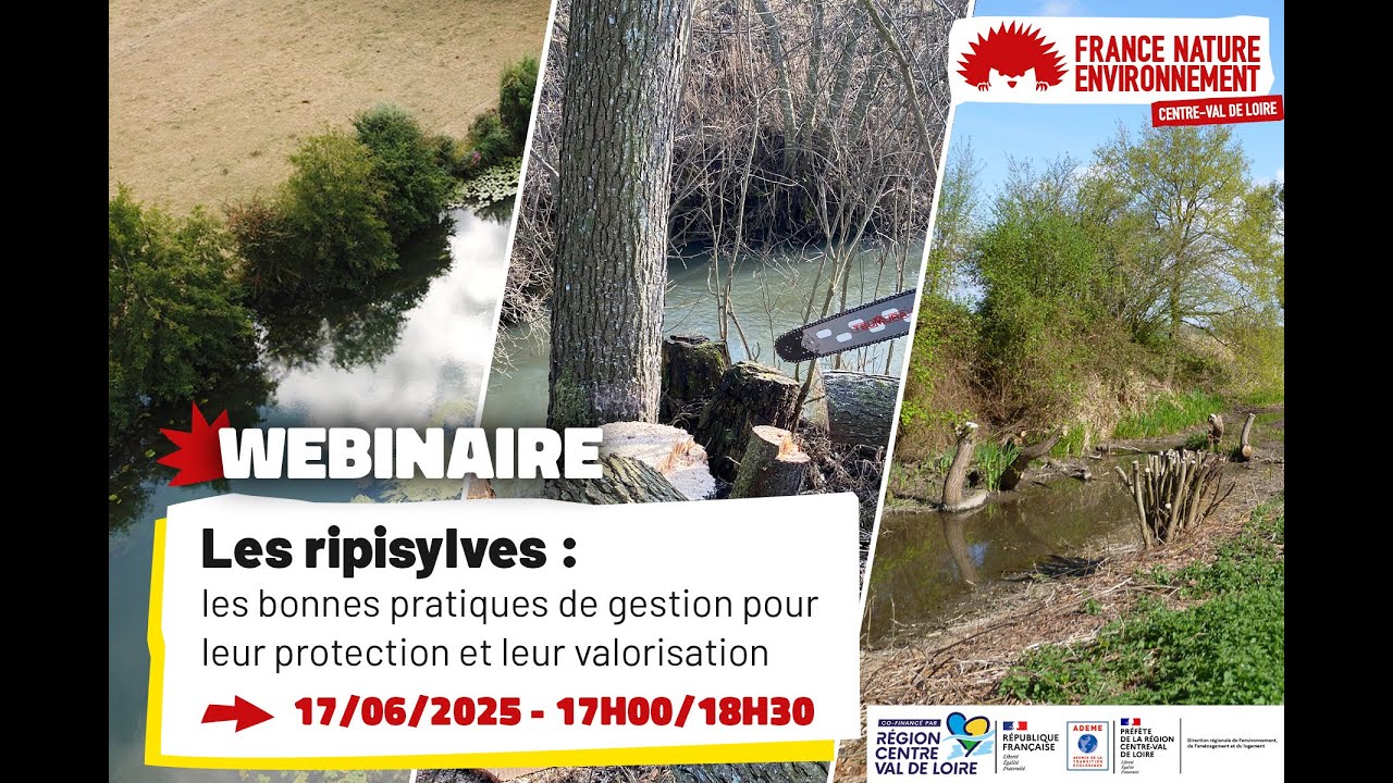 Webinaire : Les ripisylves - les bonnes pratiques de gestion pour leur protection et valorisation