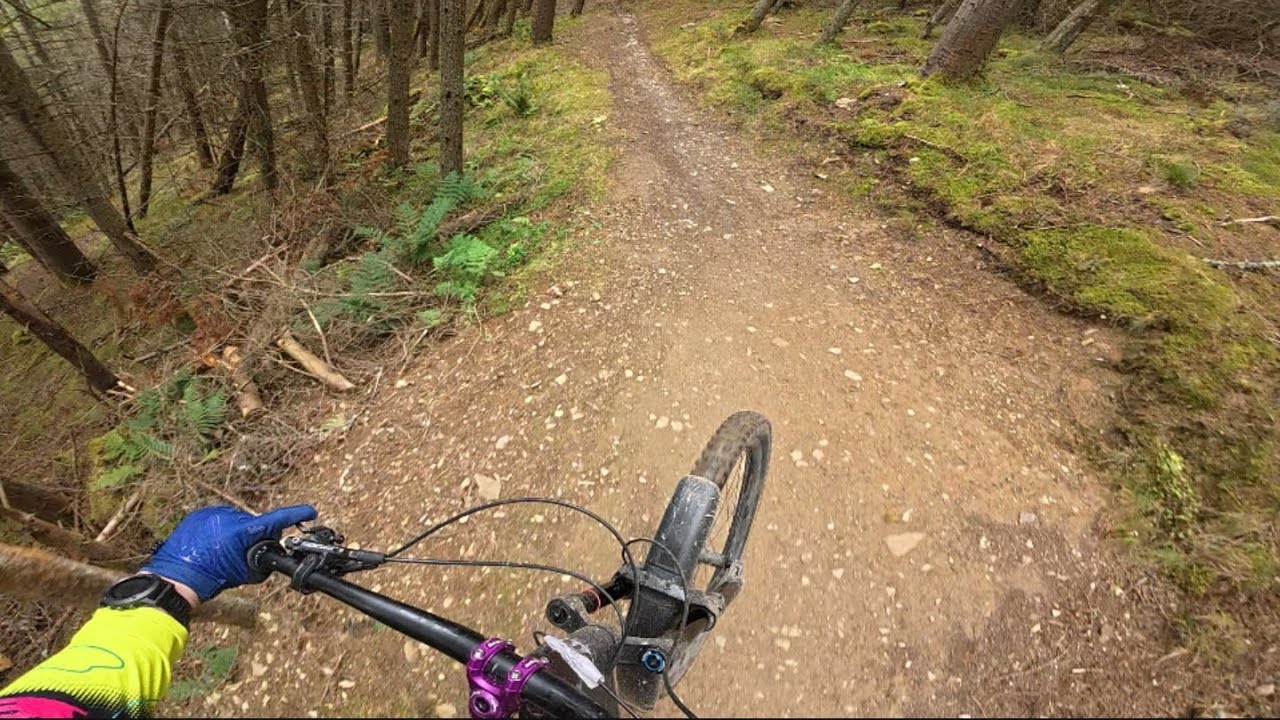 Trying to go fast at innerleithen 