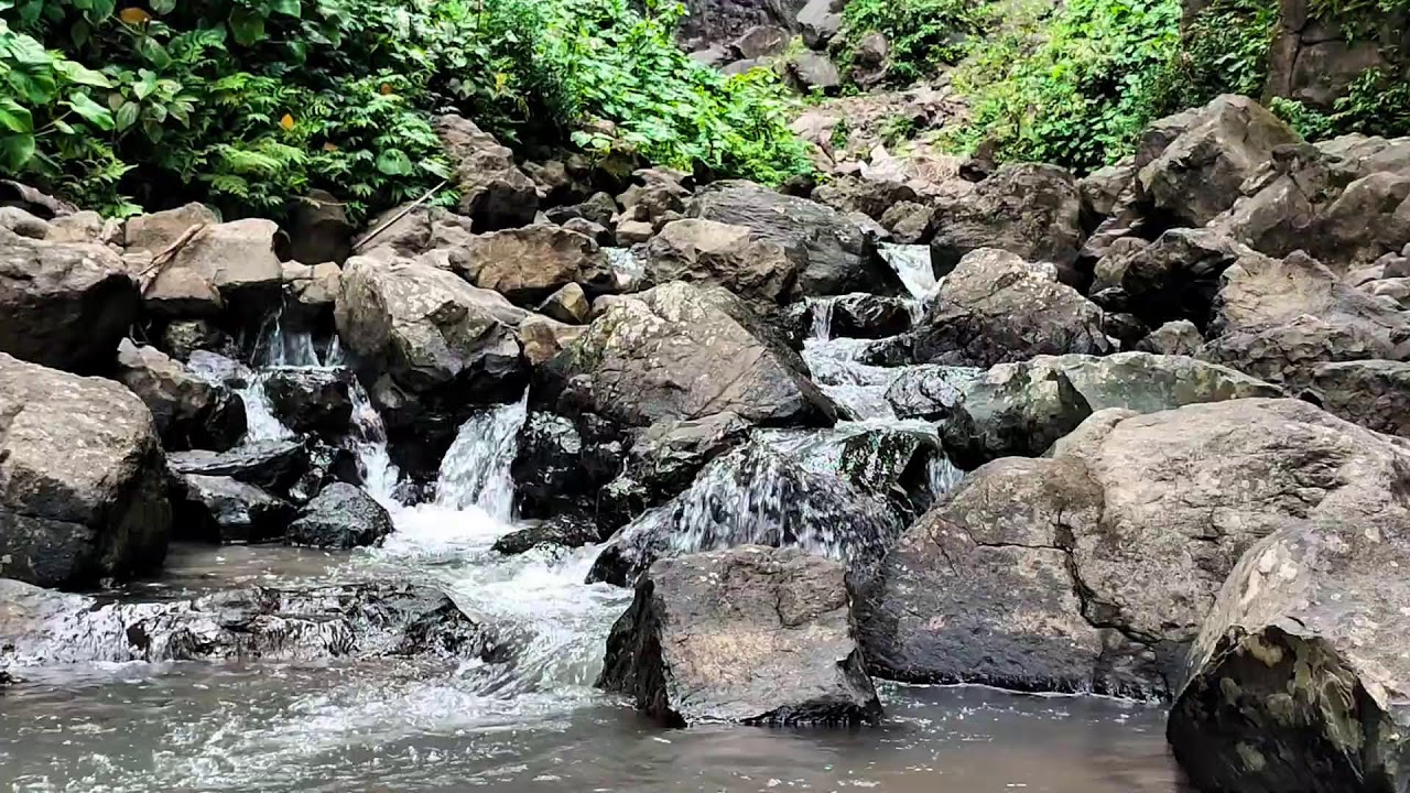 11 Hours Deep Sleep Live 🌙 Soothing River Flow & Forest Night Sounds | Calm Nature Ambience