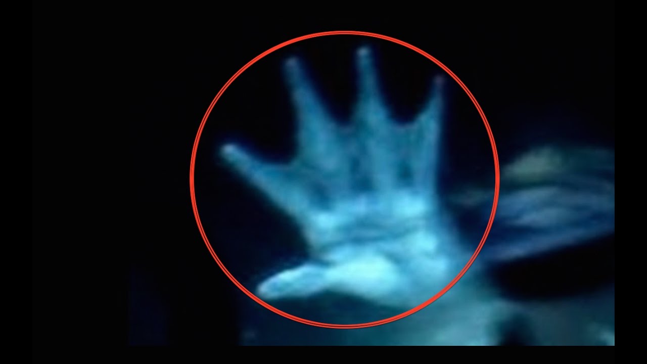 MERMAID CAUGHT ON TAPE BY SUBMARINE? | Animal Planet Footage Analysed and Debunked
