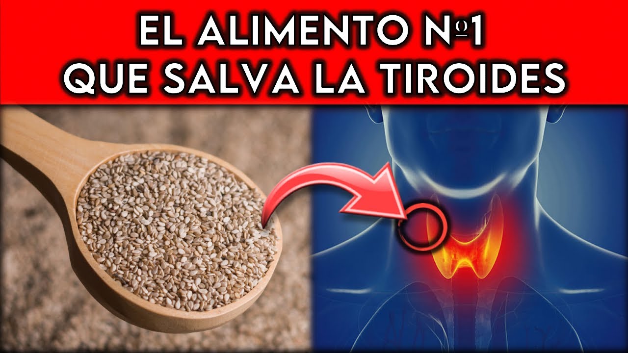 ALIMENTO #1 que SALVA la TIROIDES y nadie te lo dice