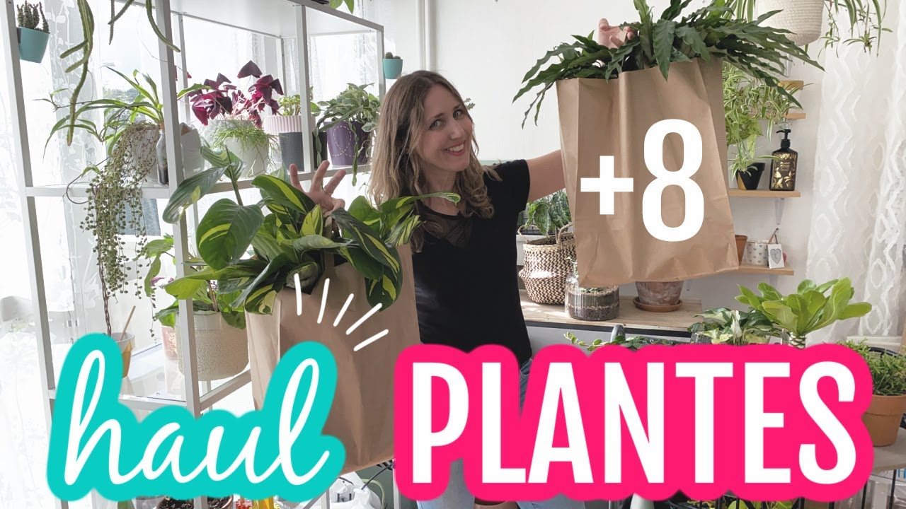 🌿 HAUL PLANTES : J'AI FAIT LE PLEIN DE PLANTES VERTES POUR LA RENTRÉE 🌿