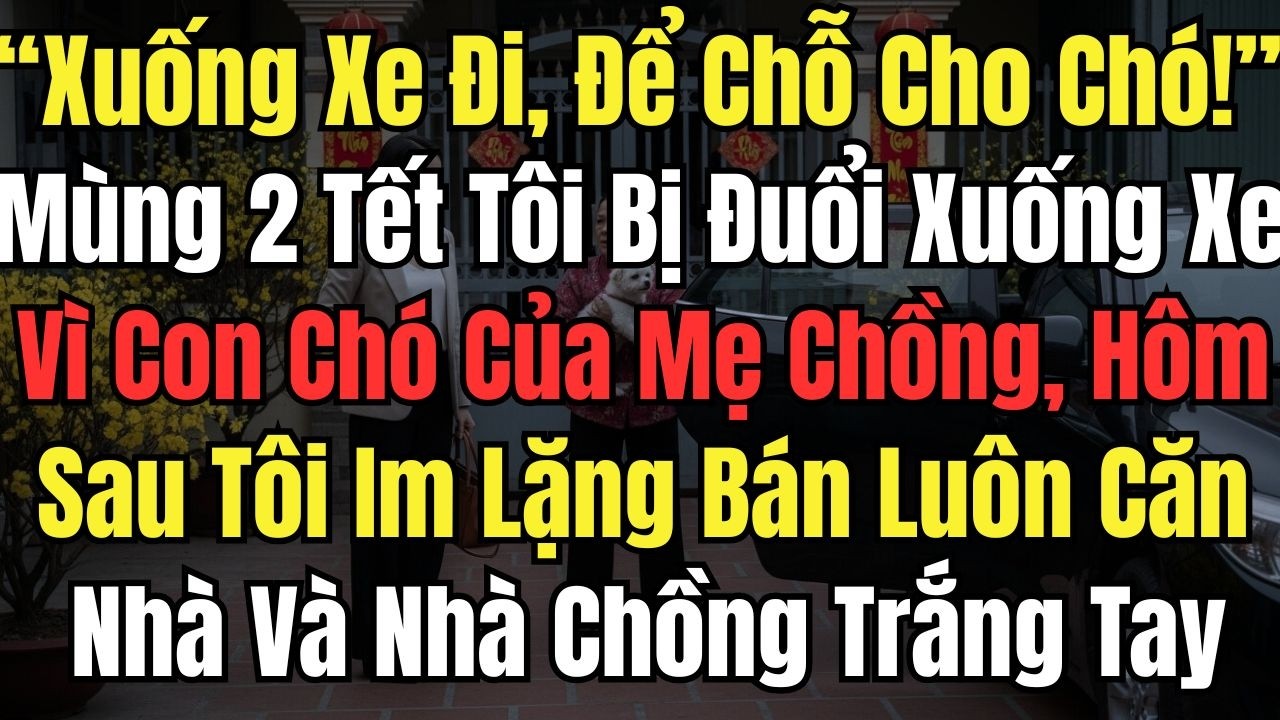 “Xuống Xe Đi, Để Chỗ Cho Chó!” Mùng 2 Tết Tôi Bị Đuổi Xuống Xe Vì Con Chó Của Mẹ Chồng, Hôm Sau Tôi