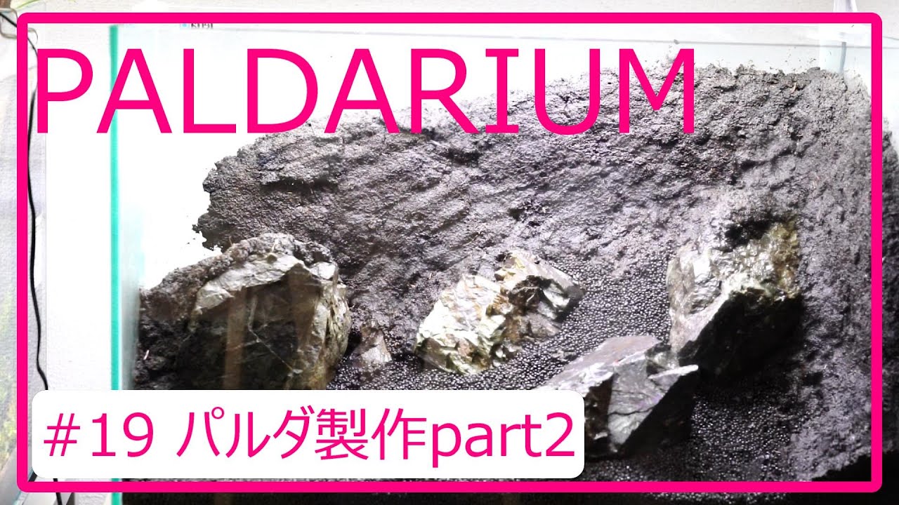 パルダ製作パート２モデリングソイルで土壁作るよ！適切な水分量とは？コネた感覚？パルダリウム製作と言えばの壁に挑戦します　１９話