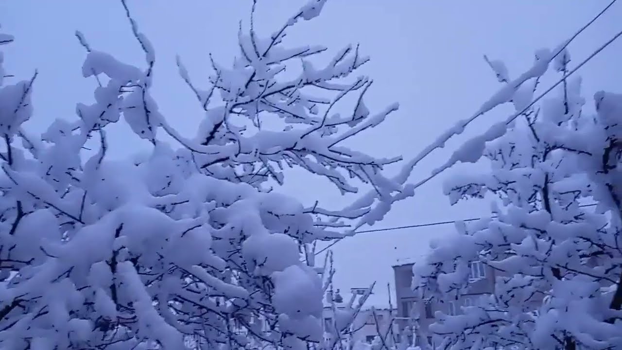 КАК    ПРИГОТОВИТЬ   ПЛОВ  НА  СКОВОРОДЕ / ПЛОВ  СО  СВИНИНОЙ