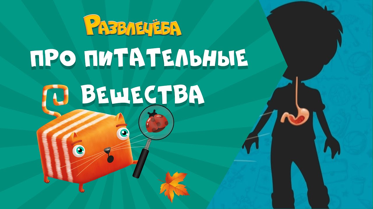 Развлечёба. Окружающий мир. Про питательные вещества