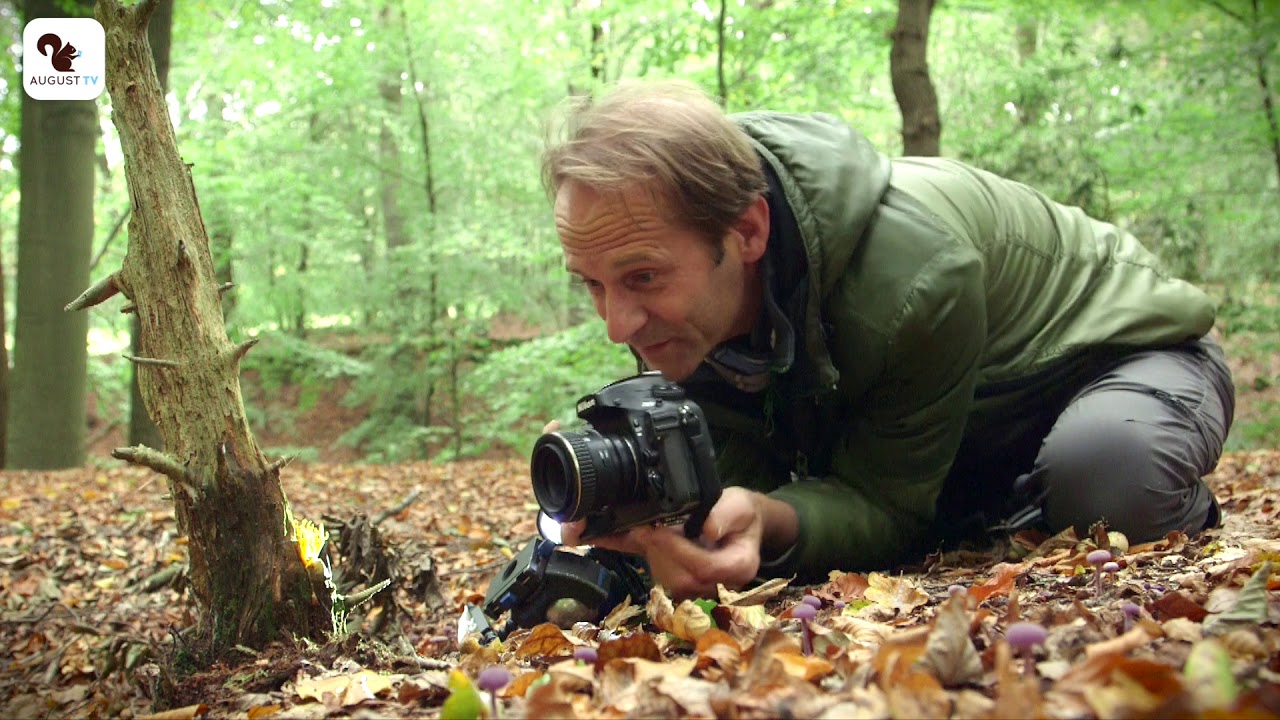 Paddenstoelen fotograferen -  Aflevering 2