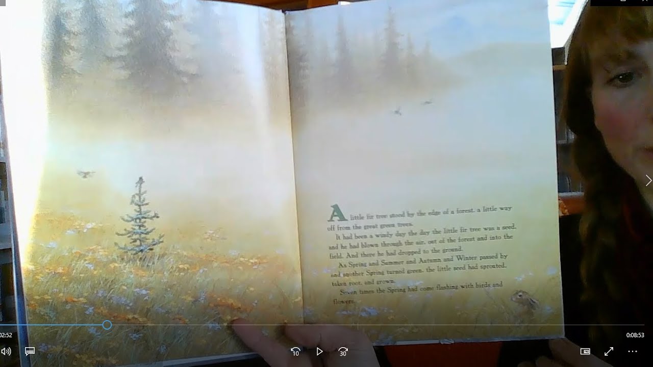 The Little Fir Tree Storytime!