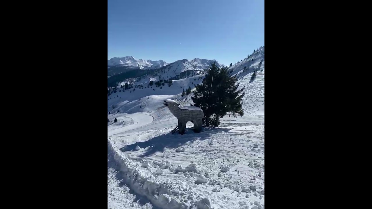 Riesneralm Hochsitz mit Hirsch/Donnersbachwald/Stmk