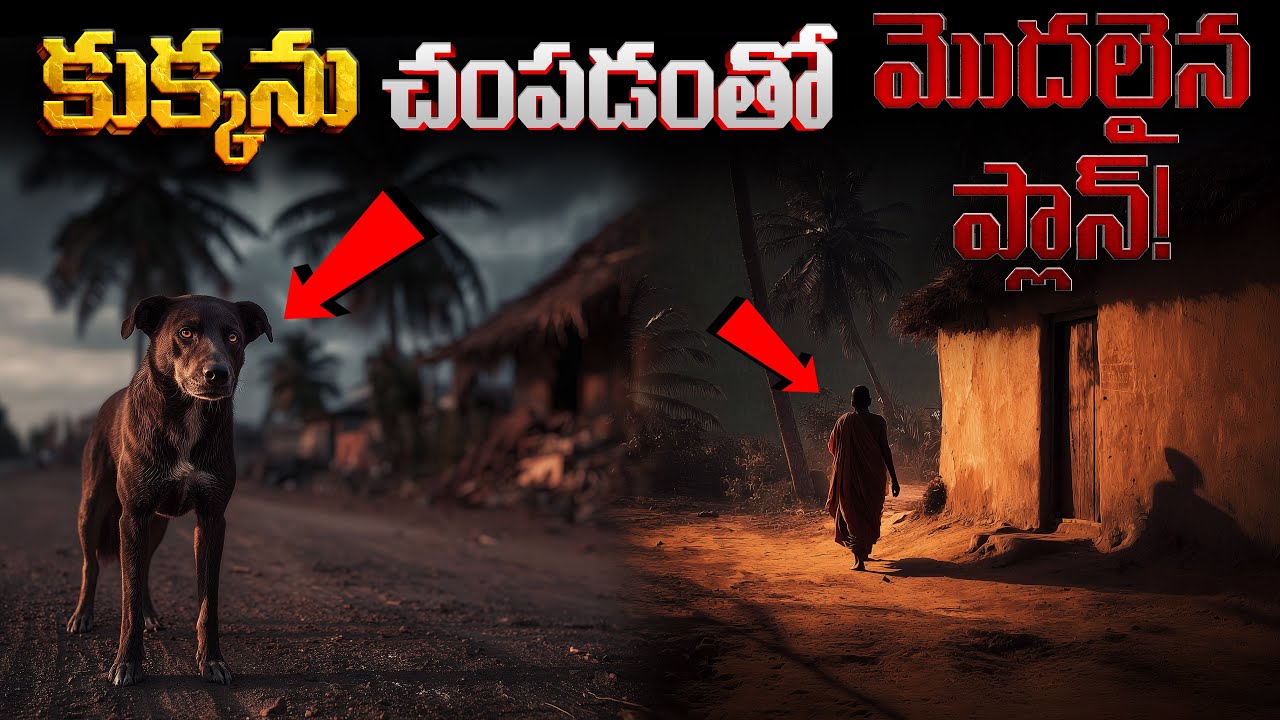 కుక్కను చంపడంతో మొదలైన ప్లాన్! | The Brutal Gang That Targeted the Elderly!