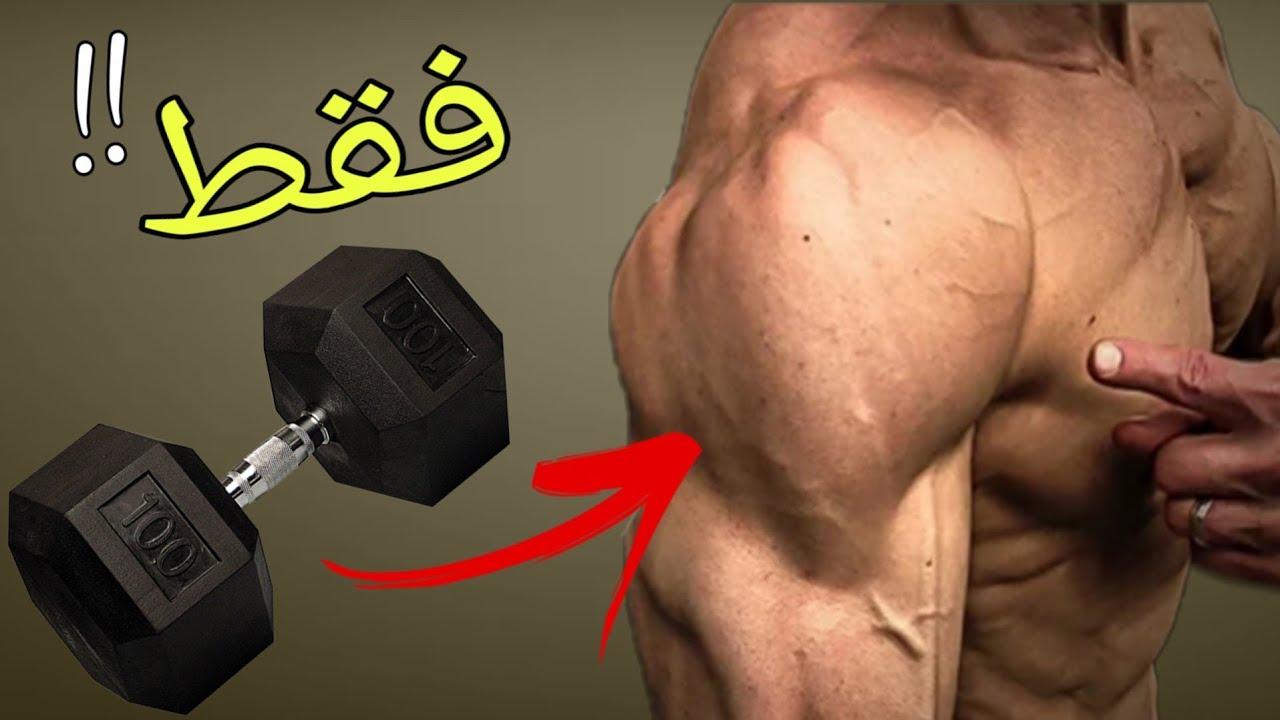 تمارين الكتف !! التي تضمن لك تعريض  بسرعة ( الدمبل فقط ) شرح كامل