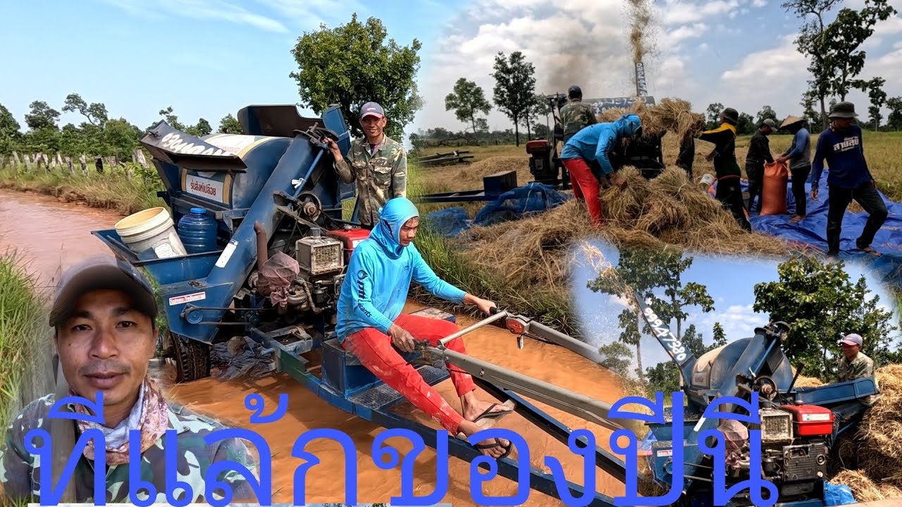 ระดูปั่นข้าวปี 2024