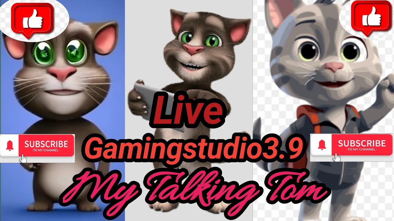 My Talking Tom Live