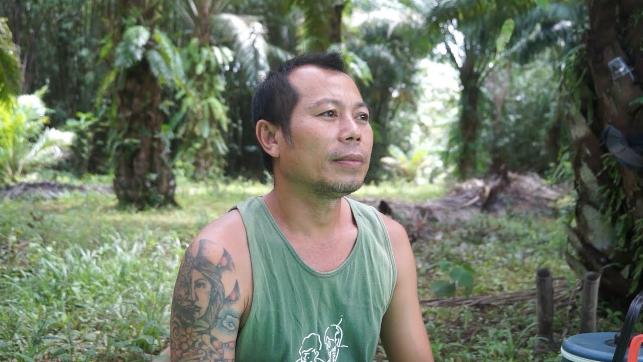 Testimoni Anggota Kelompok Tani Sawit Binaan CU Lantang Tipo