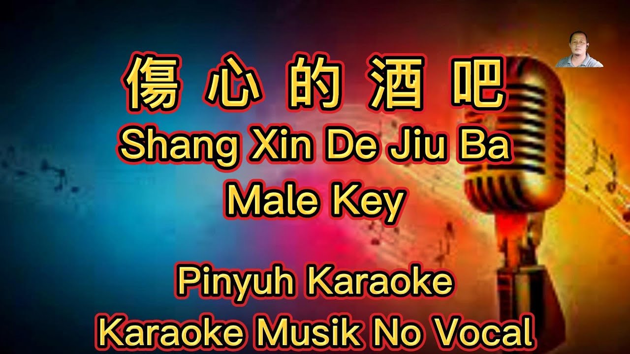 Shang Xin De Jiu Ba ~ 傷心的酒吧 ~ Karaoke ~ Musik No Vocal