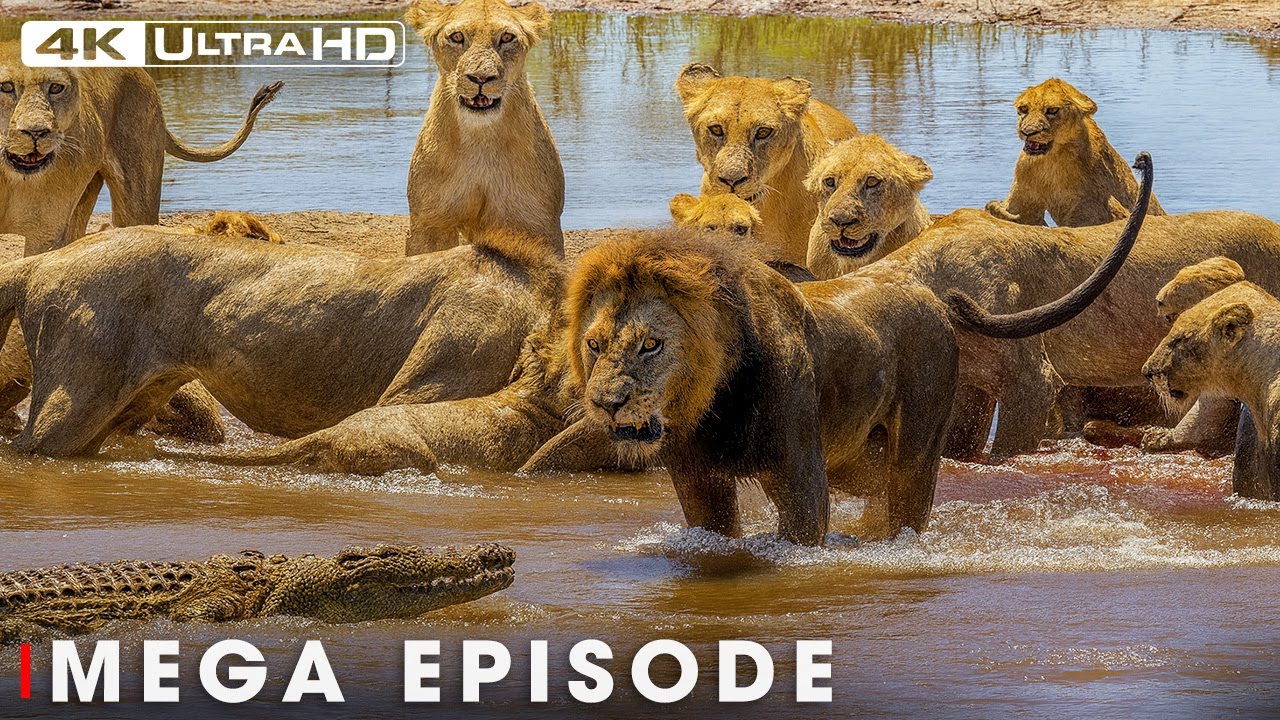 World's Deadliest MEGA EPISODE | Ultimate Predators | Nature Animal Documentary