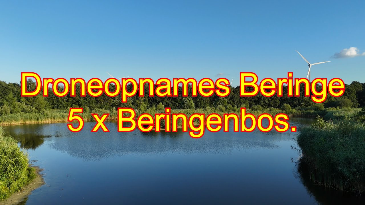 Droneopnames Beringe. 5 x Beringenbos.