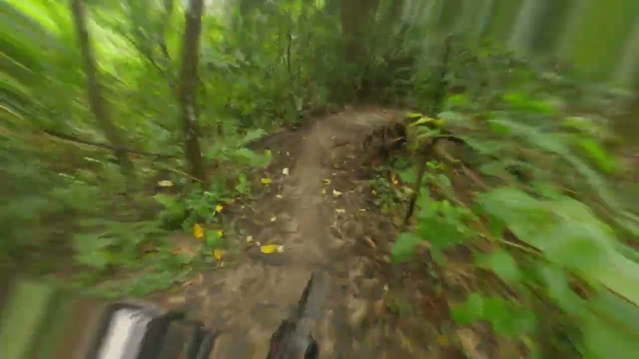 Bike Life: First Ride on my new Vitus Sommet 290