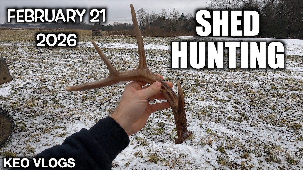 Shed Antlers & Pennsylvania Lease Stand Set-up