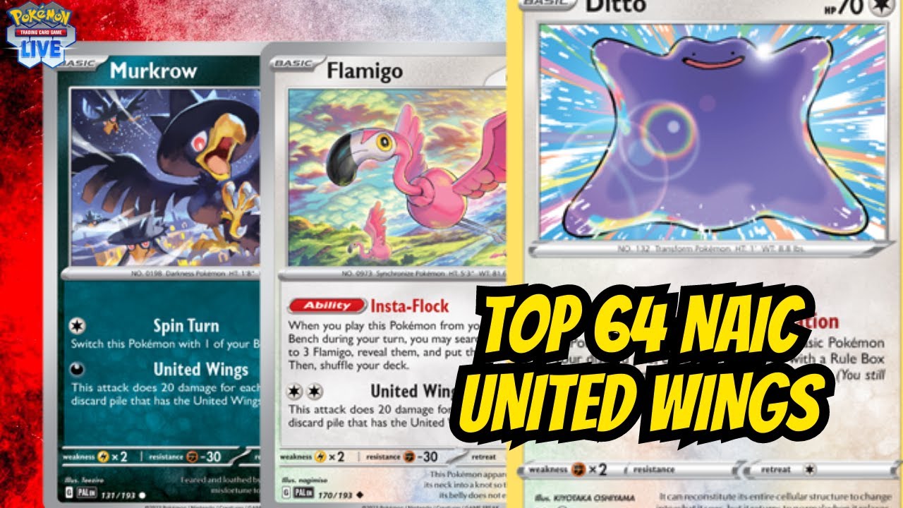 Top 64 NAIC United Wings Deck Profile | Pokemon Trading Card Game Live