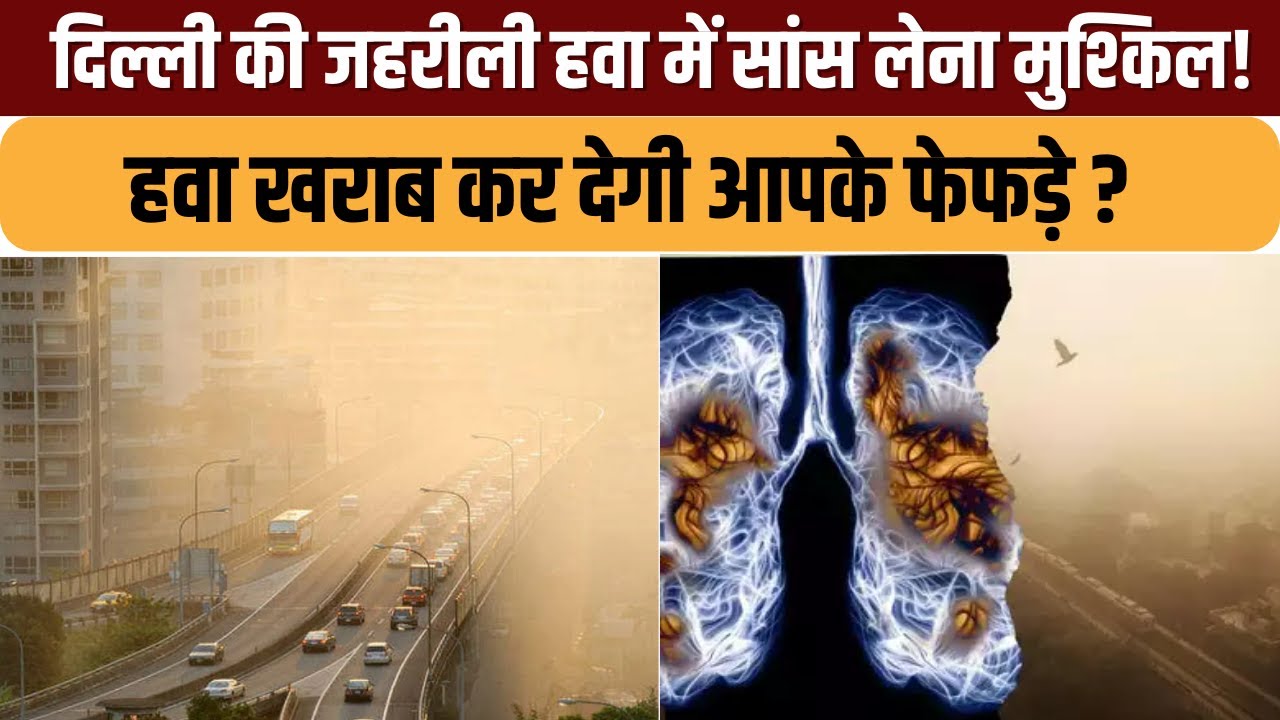 Delhi Air Pollution: हवा खराब कर देगी आपके फेफड़े ?  | Noida | AQI Today | India news