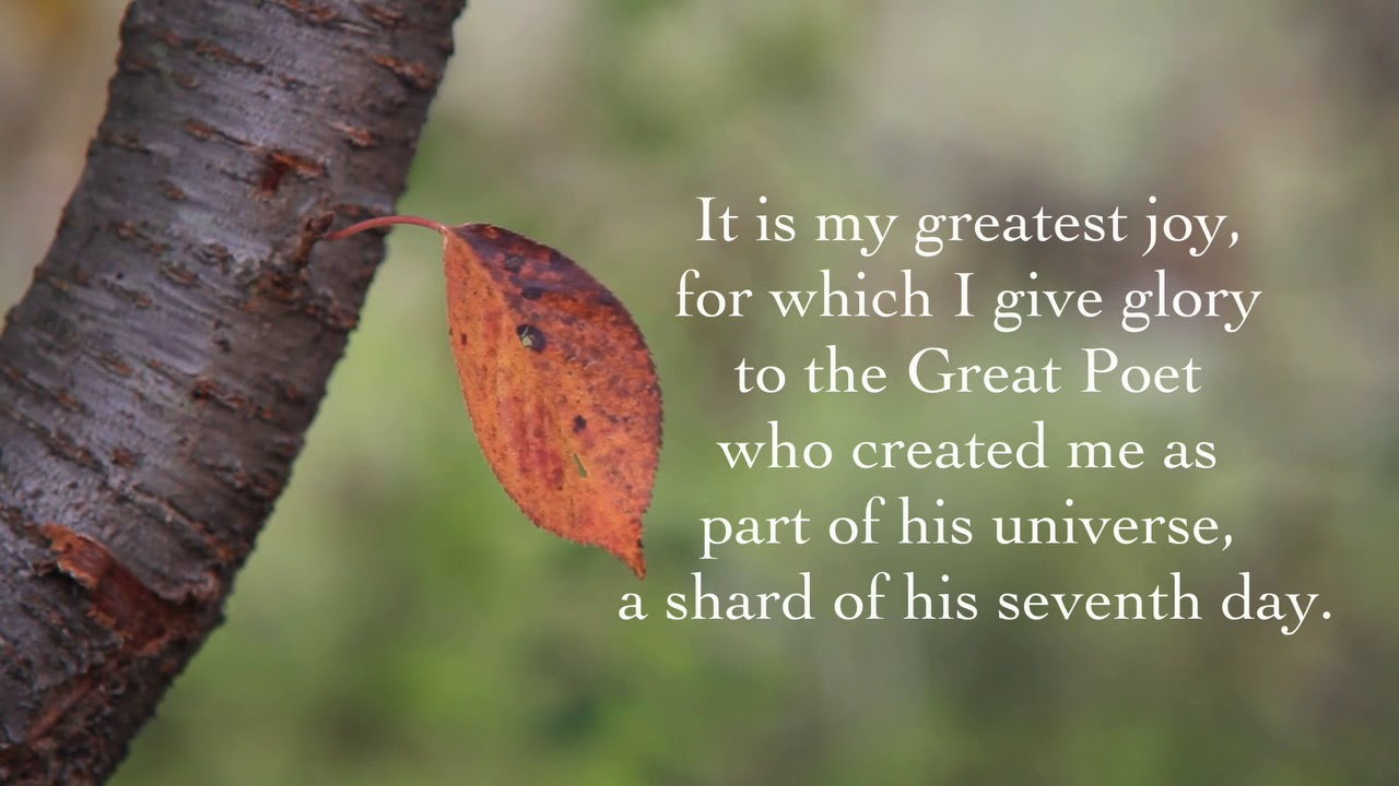 Eye of the Beholder by Luci Shaw