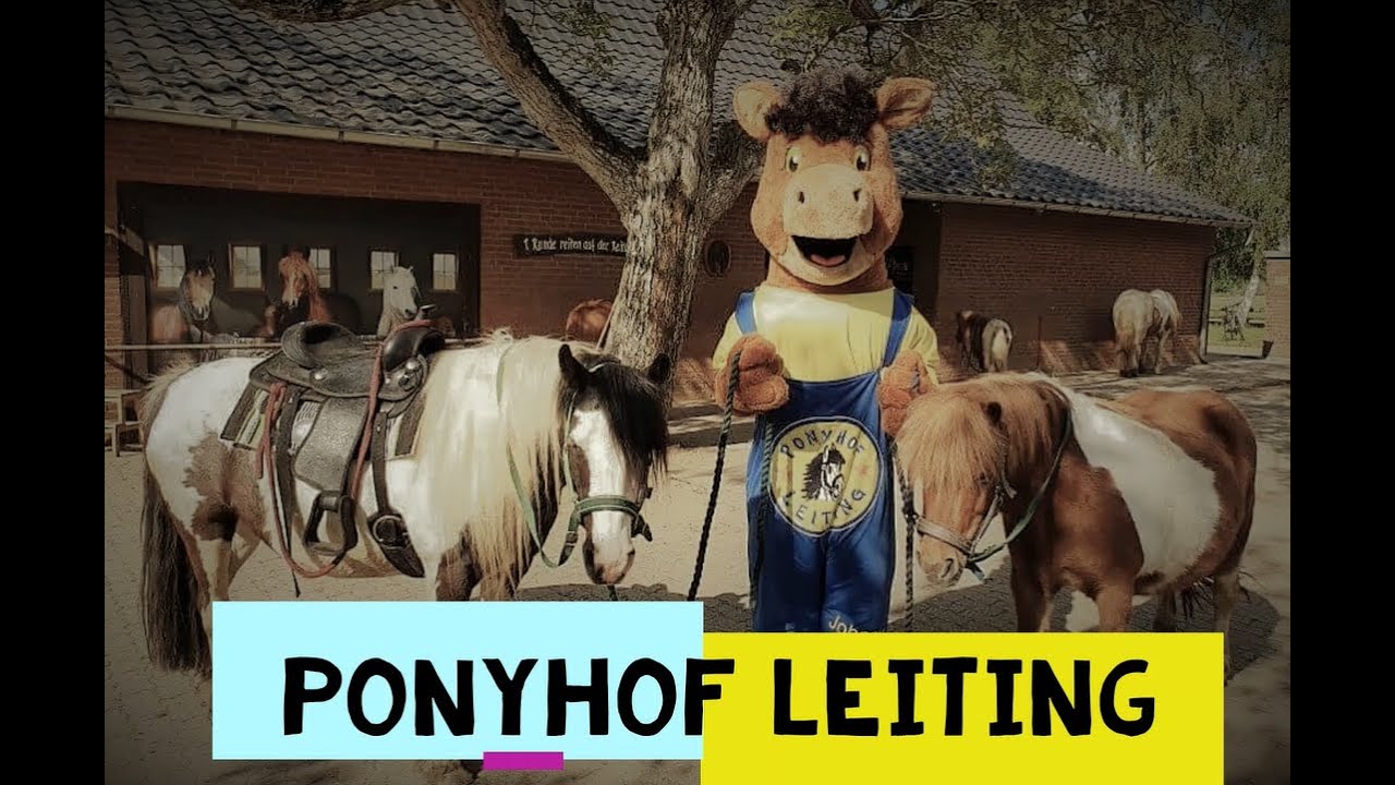 ponyhof leiting  isselburg 2021 das familien freizeit paradies إيزلبورغ