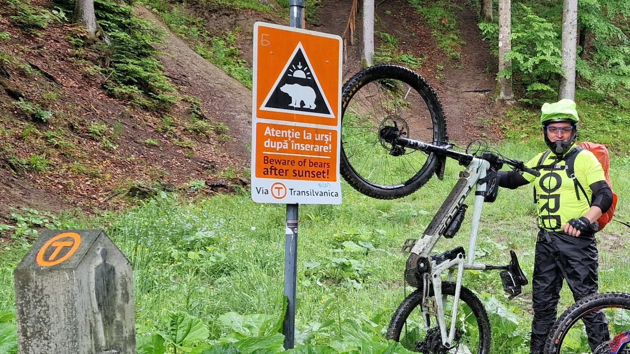 Via Transilvanica   Putna-Sucevita-Vatra Moldovitei  Prima parte 50 km 17 iunie 2023