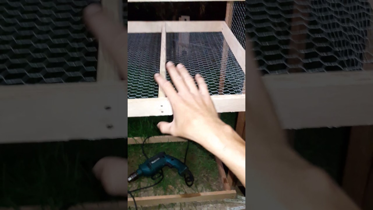 Viveiro para   codornas, bateria com 4 gaiolas O2/04/2017  (Quail nursery, battery with 4 cages )
