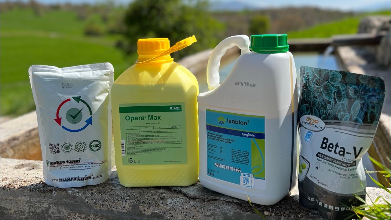ARPALARA PAS İLACI + İZ ELEMENT VE YAPRAK GÜBRESİ ATIYORUZ #syngenta #isabion #operamax #basfagro