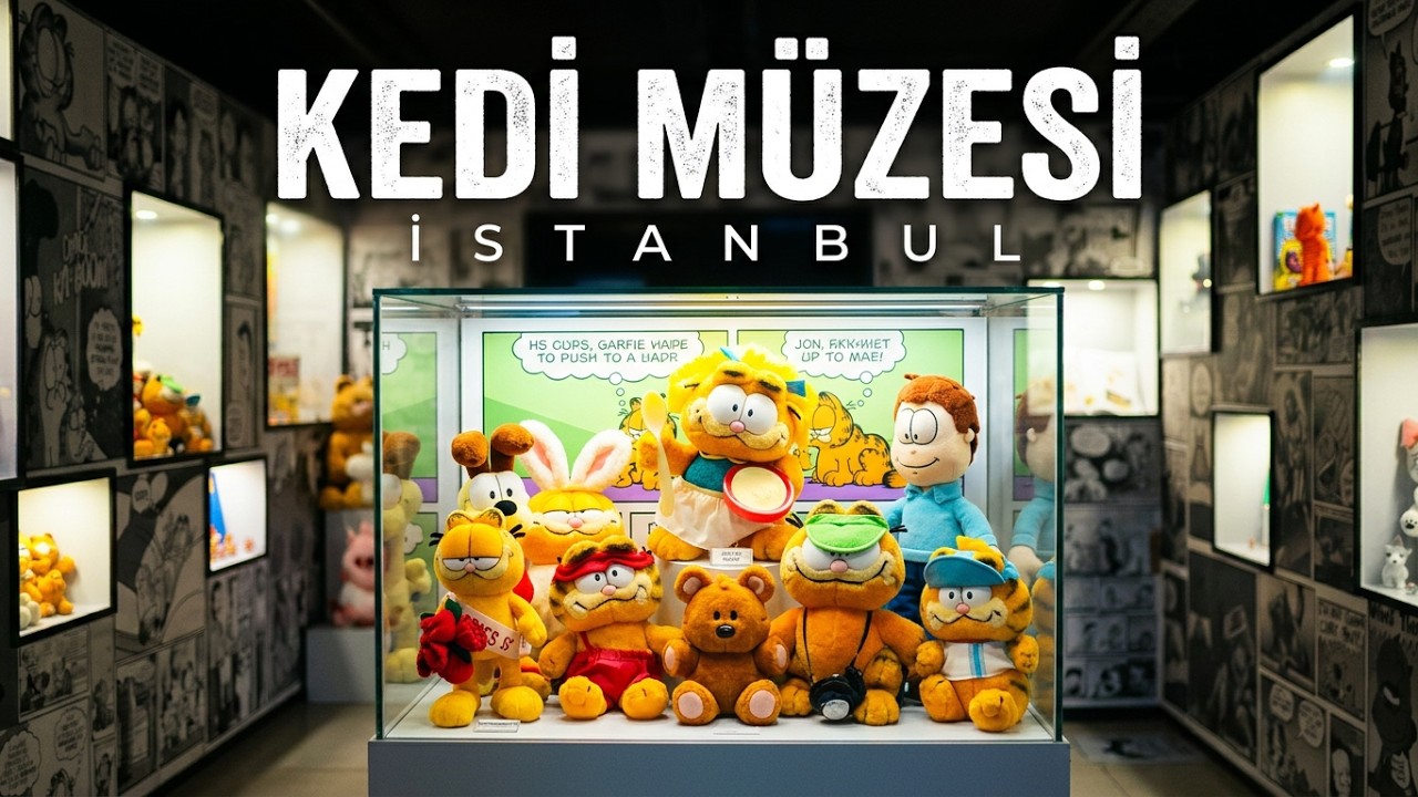 KEDİ MÜZESİ -THE CAT MUSEUM #kedi #kediler #cat #catsvideo #catsistanbul #interesting #pet  #museum