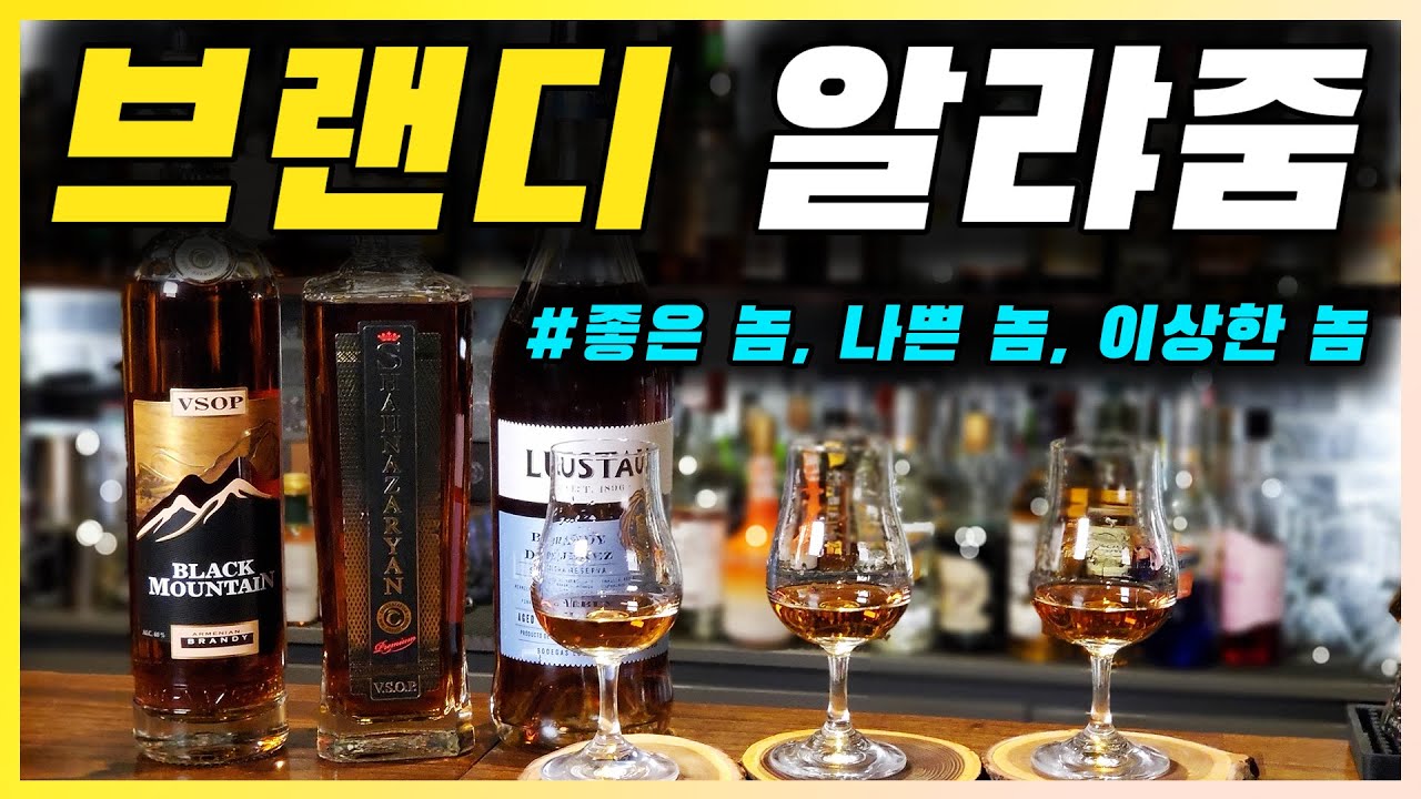 브랜디 개론 | 와인을 증류한 브랜디 유래와 스페인, 아르메니아의 브랜디 3종 시음