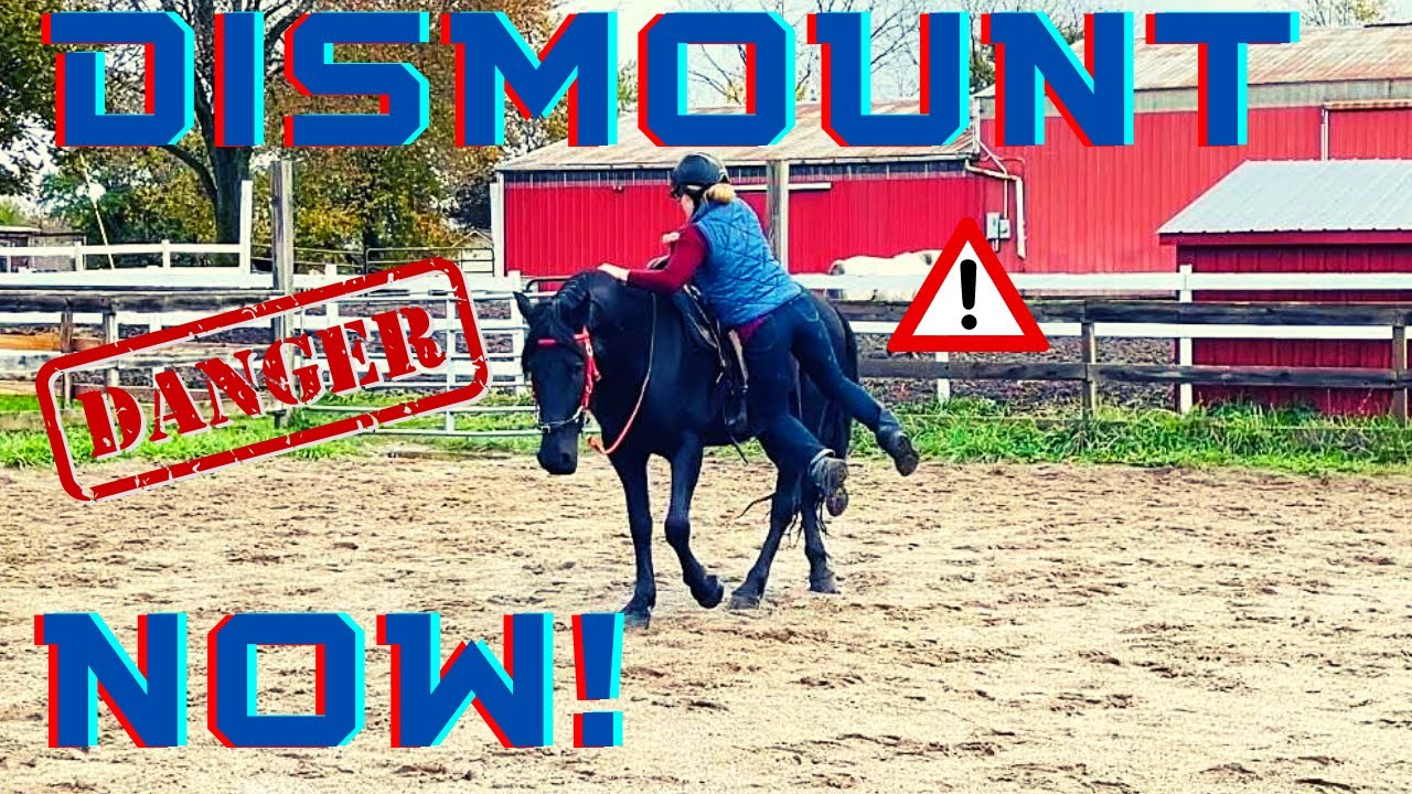 HOW TO EMERGENCY DISMOUNT OFF A HORSE| Preparing both Horse & Rider